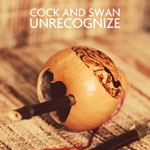 Unrecognize album art